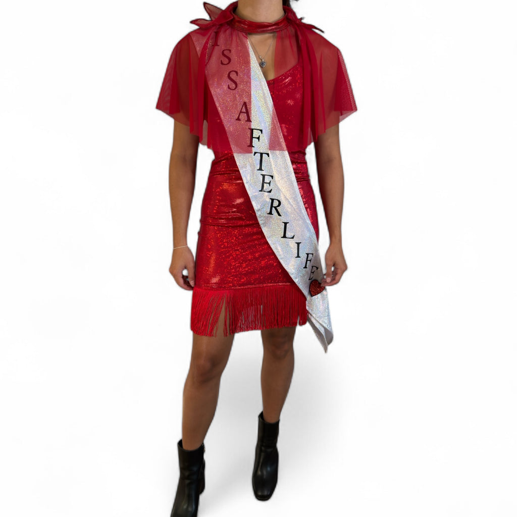 Miss Argentina Costume Afterlife Receptionist Look