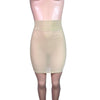 Pencil Skirt - Nude Mesh - Peridot Clothing